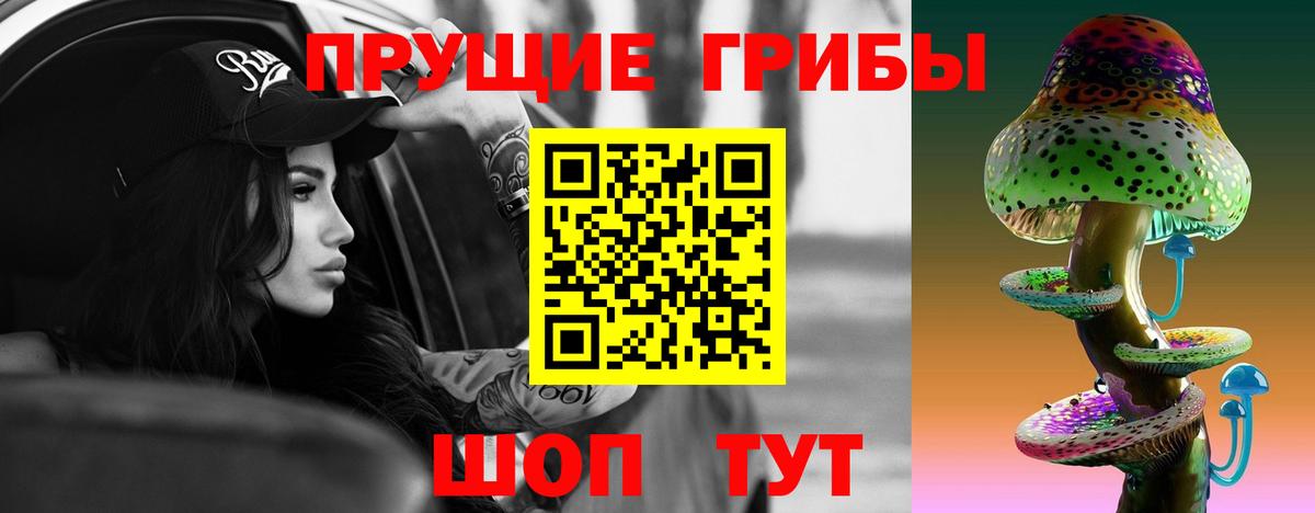 Псилоцибиновые грибы Magic Shrooms  что такое   Александров  Вход с VPN  Галлюциногенные грибы GOLDEN TEACHER 
