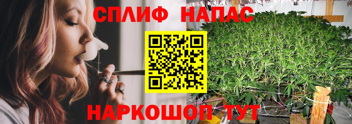 Александров  Канабис ГИДРОПОН  Вход с VPN  МАРИХУАНА AK-47  Шишки марихуана Bruce Banner 